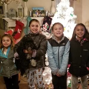 Meet your Posher, Mark